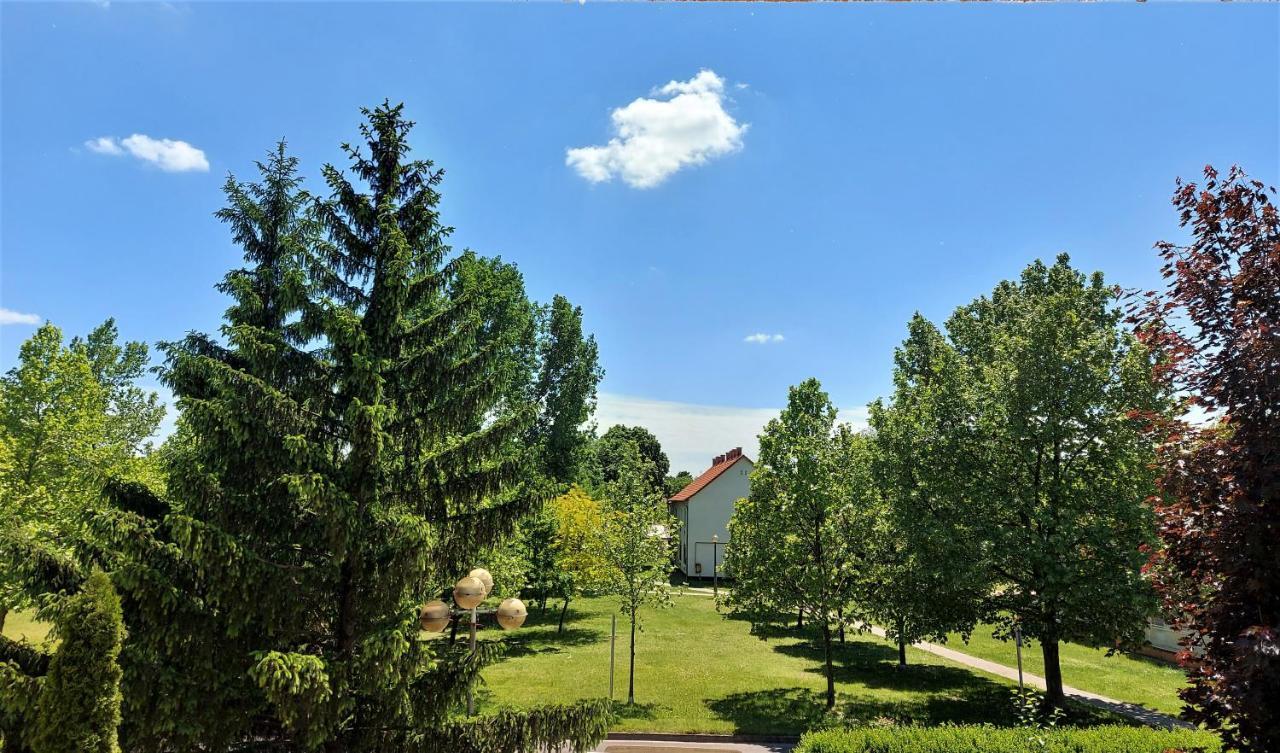 Csipke Hotel Кишкунхалаш Экстерьер фото